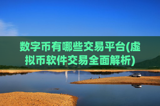 数字币有哪些交易平台(虚拟币软件交易全面解析)