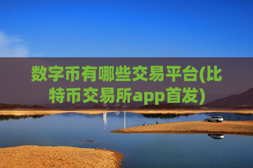 数字币有哪些交易平台(比特币交易所app首发)