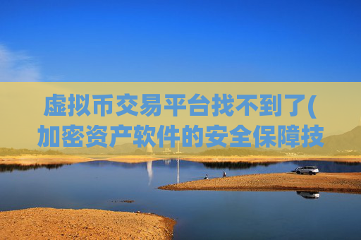虚拟币交易平台找不到了(加密资产软件的安全保障技术)