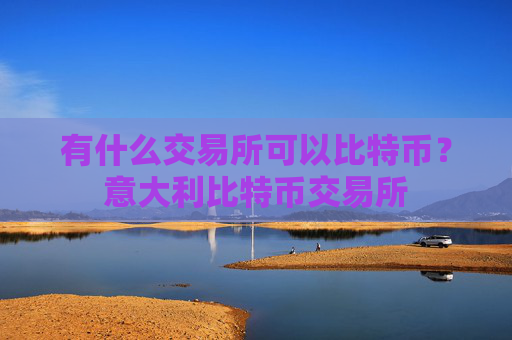 有什么交易所可以比特币?意大利比特币交易所