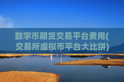 数字币期货交易平台费用(交易所虚拟币平台大比拼)