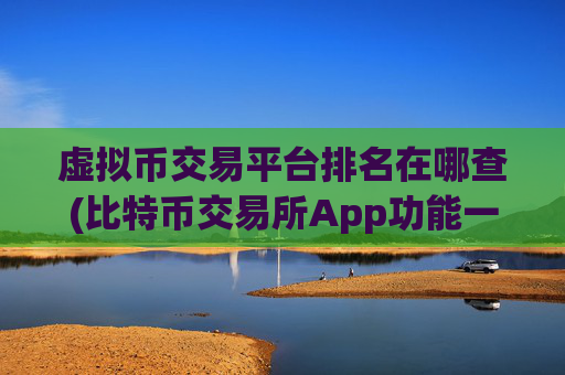 虚拟币交易平台排名在哪查(比特币交易所App功能一流)