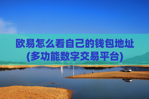 欧易怎么看自己的钱包地址(多功能数字交易平台)