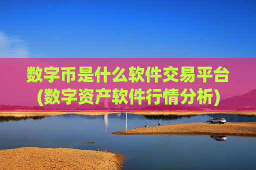 数字币是什么软件交易平台(数字资产软件行情分析)