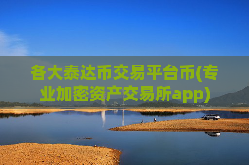 各大泰达币交易平台币(专业加密资产交易所app)