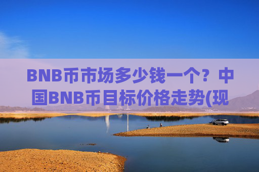 BNB币市场多少钱一个?中国BNB币目标价格走势(现价4751.69元)