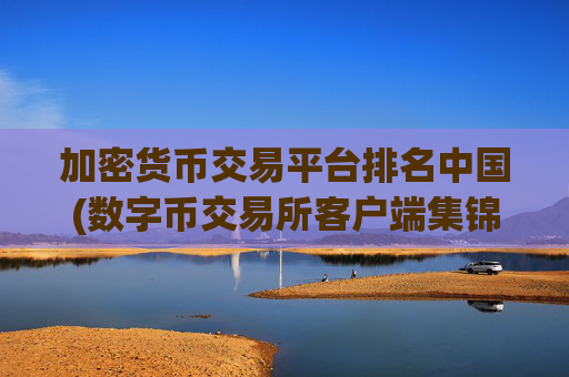 加密货币交易平台排名中国(数字币交易所客户端集锦)