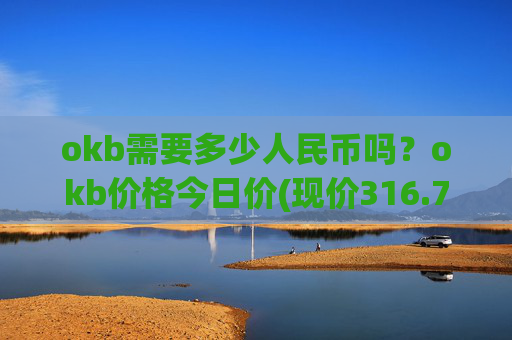 okb需要多少人民币吗?okb价格今日价(现价316.701元)