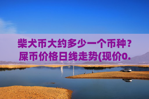 柴犬币大约多少一个币种？屎币价格日线走势(现价0.00014539元)