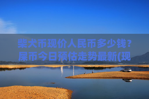柴犬币现价人民币多少钱?屎币今日预估走势最新(现价0.00014216元)