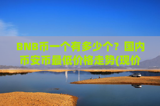BNB币一个有多少个?国内币安币最低价格走势(现价4796.43元)