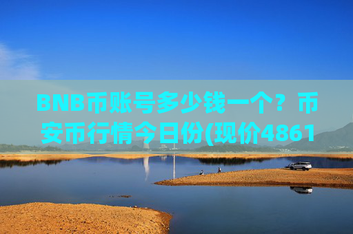 BNB币账号多少钱一个?币安币行情今日份(现价4861.72元)