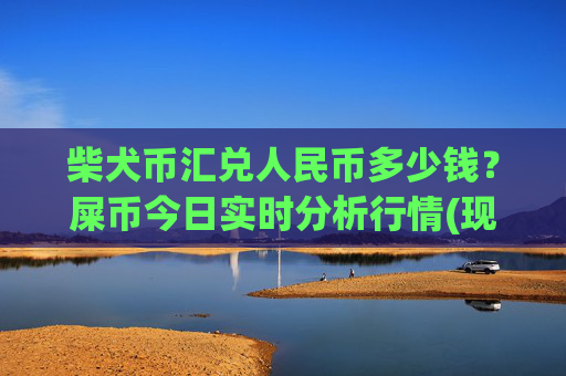 柴犬币汇兑人民币多少钱?屎币今日实时分析行情(现价0.0001546元)