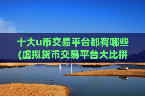 十大u币交易平台都有哪些(虚拟货币交易平台大比拼)