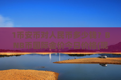 1币安币对人民币多少钱？BNB币国际金价今日价格(现价4869.16元)