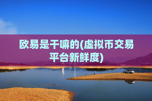 欧易是干嘛的(虚拟币交易平台新鲜度)
