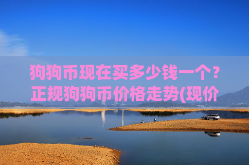 狗狗币现在买多少钱一个?正规狗狗币价格走势(现价2.3384元)