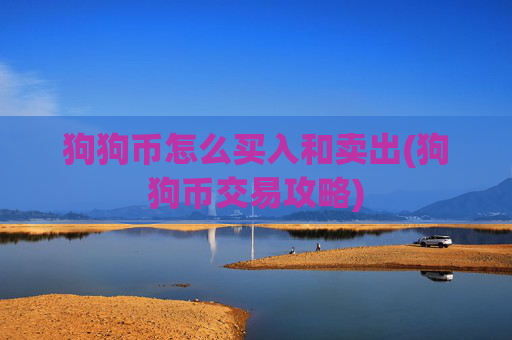 狗狗币怎么买入和卖出(狗狗币交易攻略)