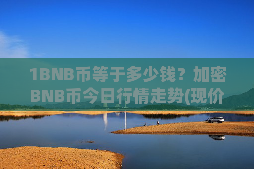 1BNB币等于多少钱?加密BNB币今日行情走势(现价4859.32元)