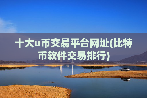 十大u币交易平台网址(比特币软件交易排行)