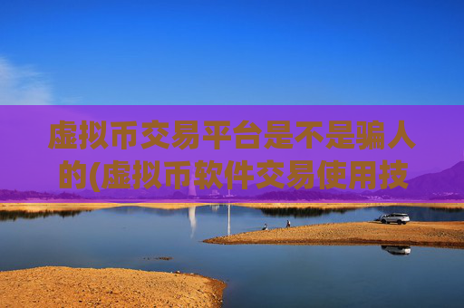 虚拟币交易平台是不是骗人的(虚拟币软件交易使用技巧)