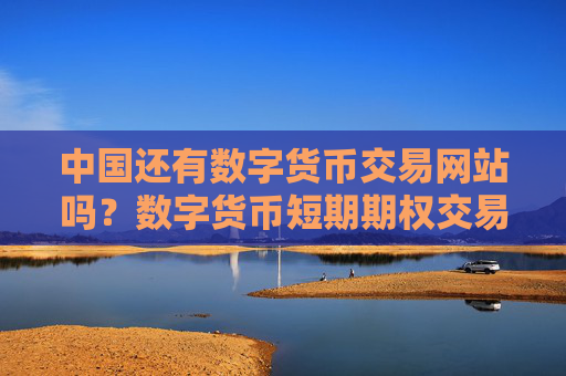 中国还有数字货币交易网站吗？数字货币短期期权交易网站