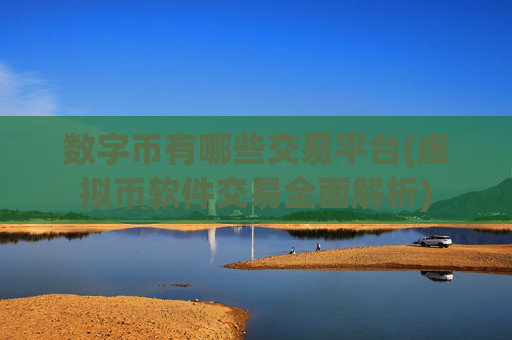 数字币有哪些交易平台(虚拟币软件交易全面解析)