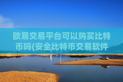 欧易交易平台可以购买比特币吗(安全比特币交易软件)