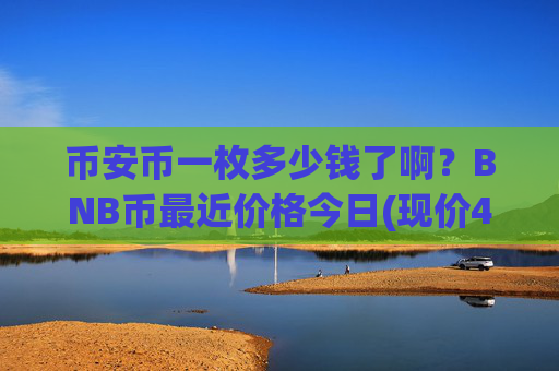 币安币一枚多少钱了啊？BNB币最近价格今日(现价4867.16元)