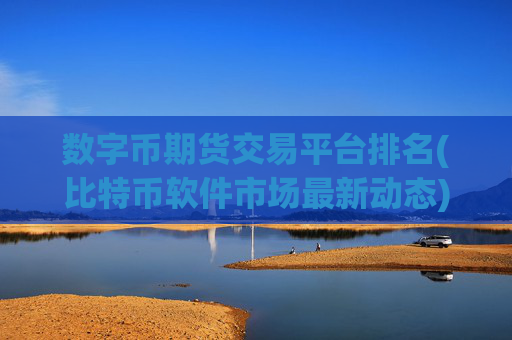 数字币期货交易平台排名(比特币软件市场最新动态)