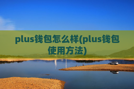 plus钱包怎么样(plus钱包使用方法)