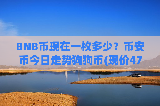 BNB币现在一枚多少?币安币今日走势狗狗币(现价4778.11元)