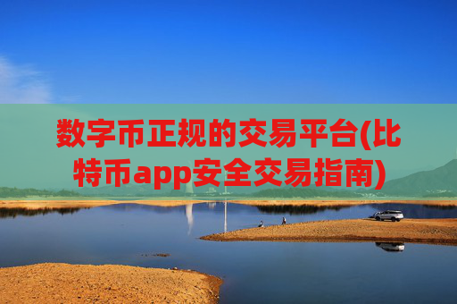 数字币正规的交易平台(比特币app安全交易指南)