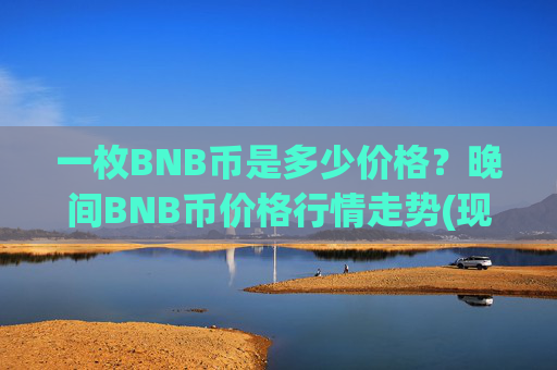 一枚BNB币是多少价格？晚间BNB币价格行情走势(现价4543.34元)