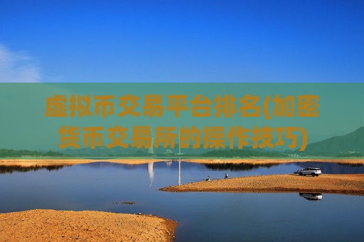 虚拟币交易平台排名(加密货币交易所的操作技巧)
