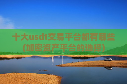 十大usdt交易平台都有哪些(加密资产平台的选择)