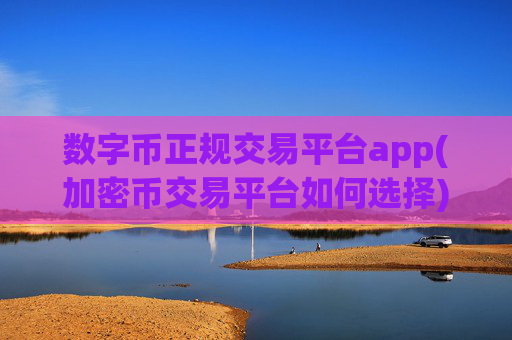 数字币正规交易平台app(加密币交易平台如何选择)