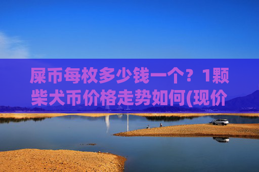屎币每枚多少钱一个?1颗柴犬币价格走势如何(现价0.00014327元)