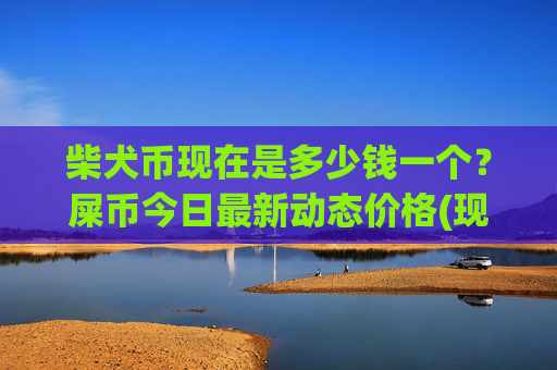 柴犬币现在是多少钱一个?屎币今日最新动态价格(现价0.00014606元)