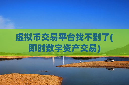 虚拟币交易平台找不到了(即时数字资产交易)