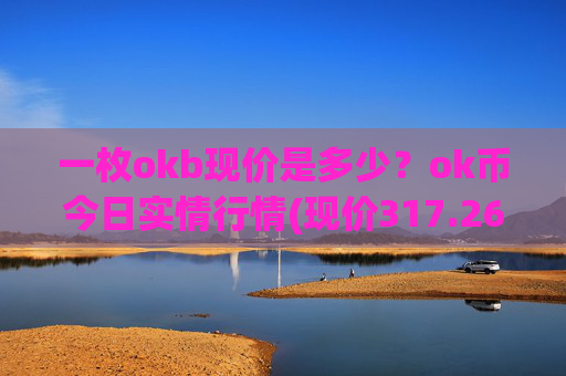 一枚okb现价是多少?ok币今日实情行情(现价317.261元)