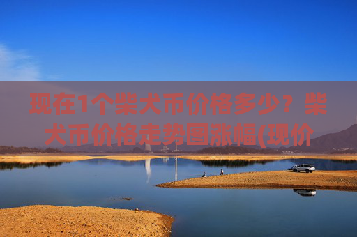 现在1个柴犬币价格多少?柴犬币价格走势图涨幅(现价0.00015646元)