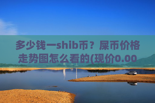 多少钱一shib币？屎币价格走势图怎么看的(现价0.00014353元)