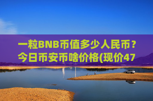 一粒BNB币值多少人民币?今日币安币啥价格(现价4701.55元)