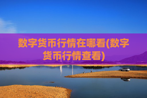 数字货币行情在哪看(数字货币行情查看)