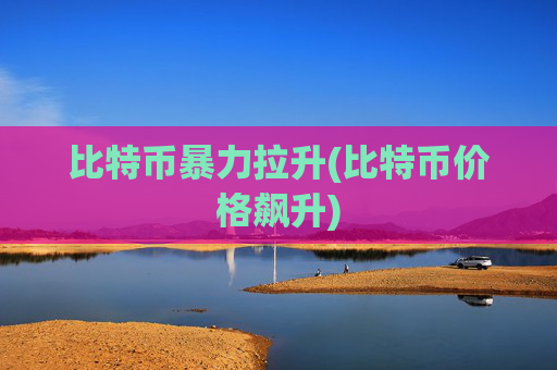 比特币暴力拉升(比特币价格飙升)