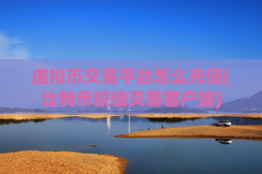 虚拟币交易平台怎么充值(比特币较佳交易客户端)