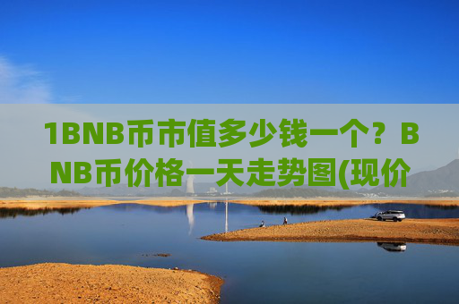 1BNB币市值多少钱一个?BNB币价格一天走势图(现价4754.98元)