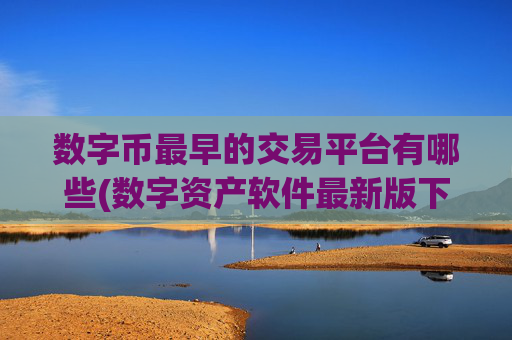 数字币最早的交易平台有哪些(数字资产软件最新版下载)