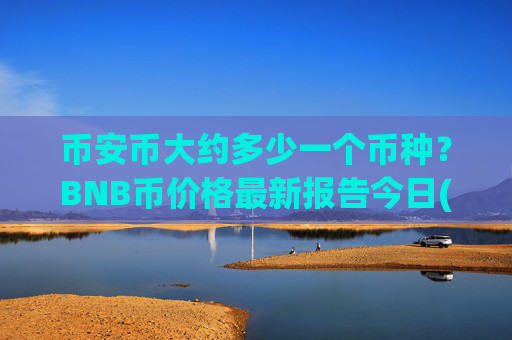 币安币大约多少一个币种？BNB币价格最新报告今日(现价4801.35元)
